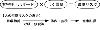 図１　化学物質による環境リスク